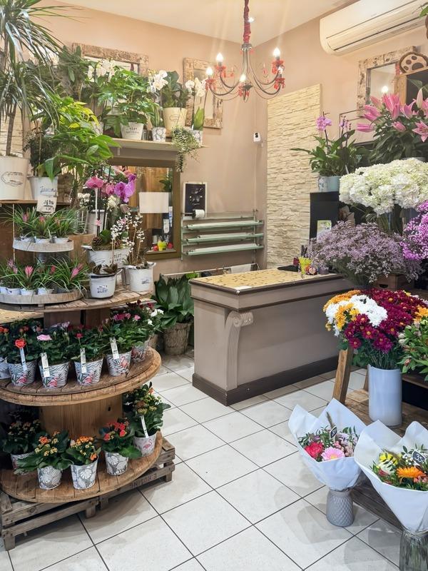 Fonds de commerce - Magasins - 80 m²