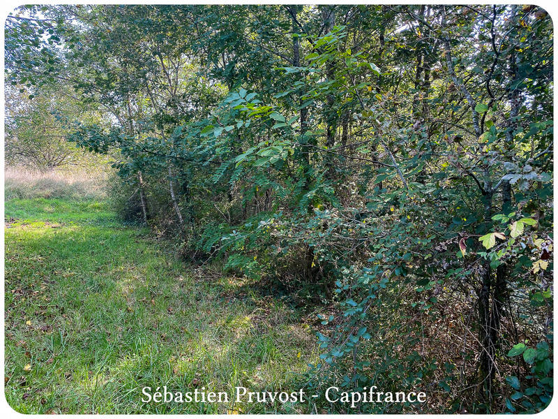 Terrain constructible - 1 700 m²