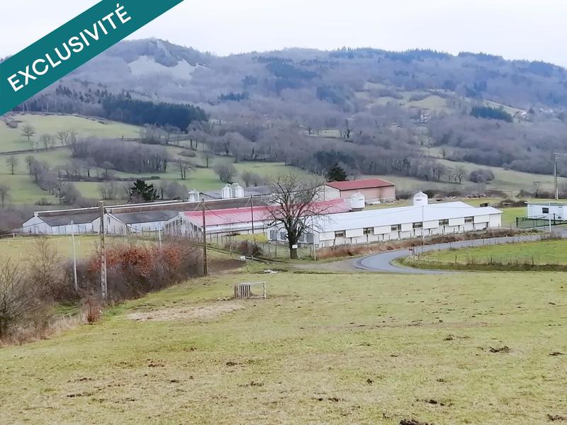 Local commercial - 850 m² - 7 pièces