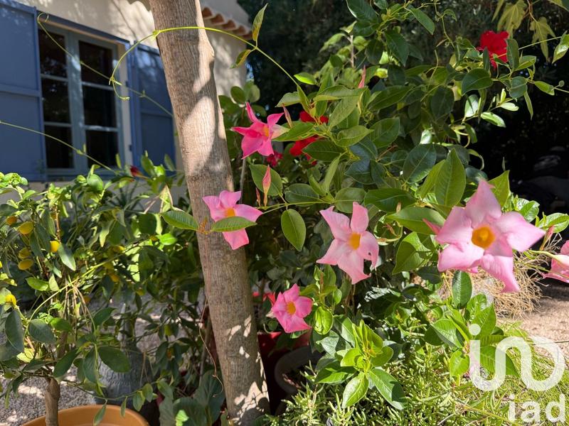 Maison - 37 m² - 2 pièces