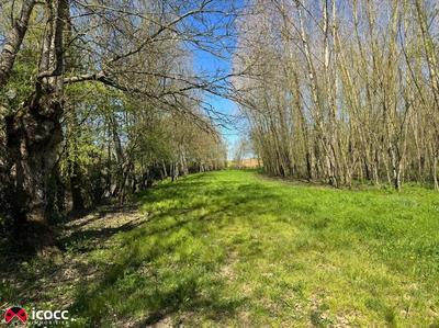 Terrain de loisirs - 3 255 m²