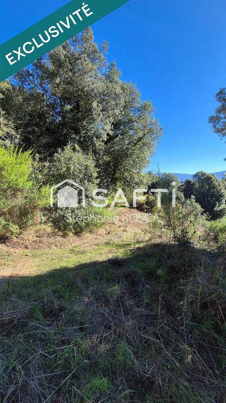 Terrain - 3 800 m²
