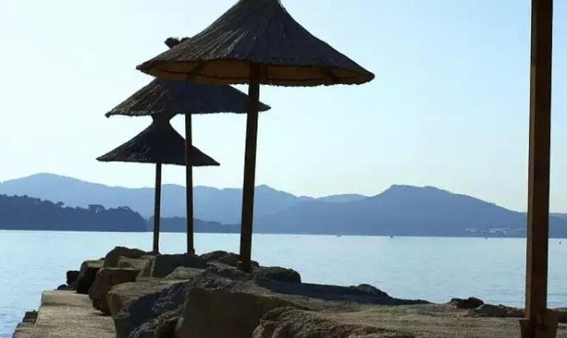 Appartement - 27 m² - 1 pièce