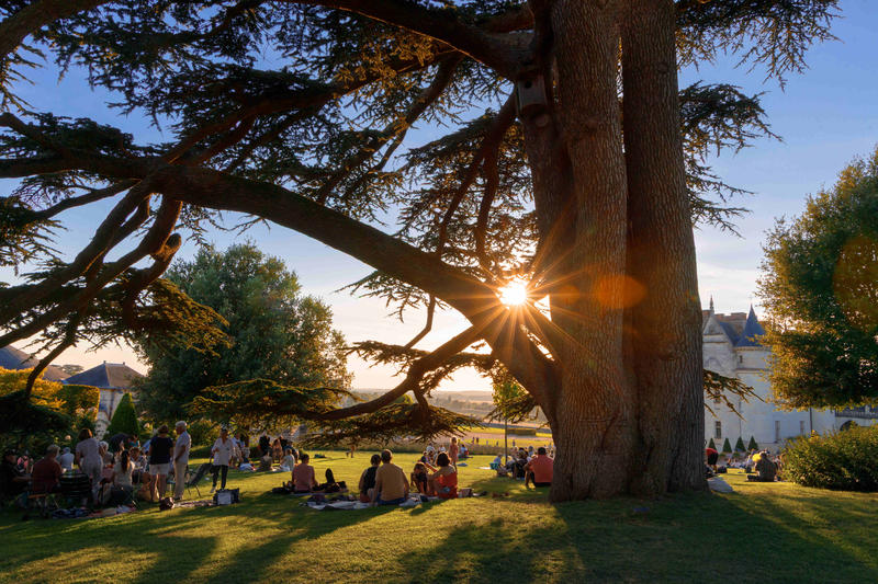 Pique-nique astronomique au Château Royal d'Amboise
