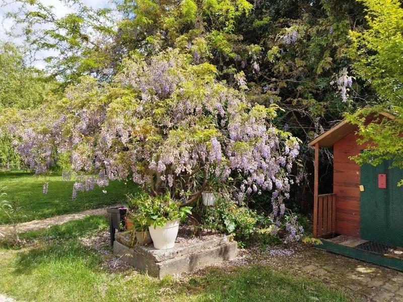 Maison ancienne - 221 m² - 10 pièces