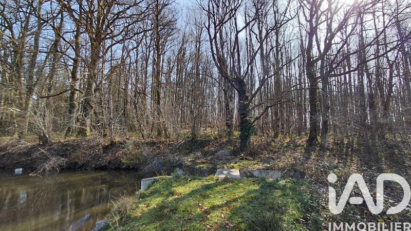 Terrain - 26 701 m²