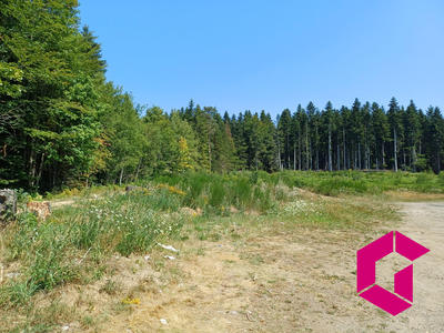 Terrain - 11 620 m²