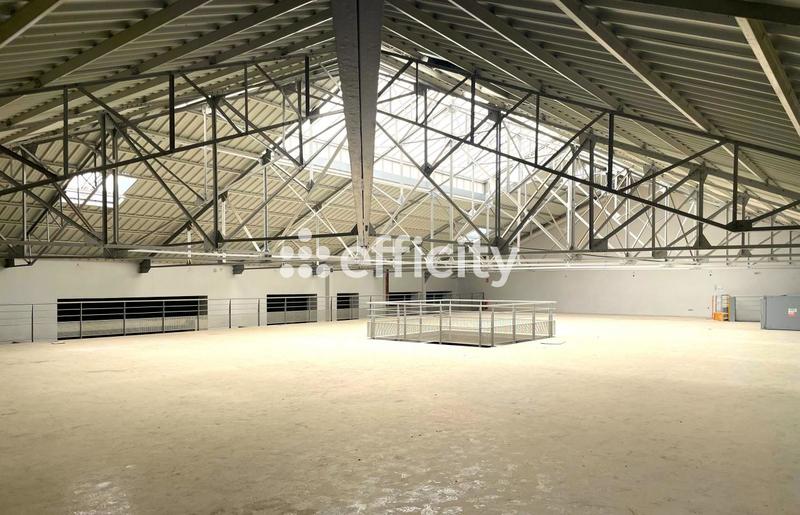 Bureau - 2 000 m² - 6 pièces