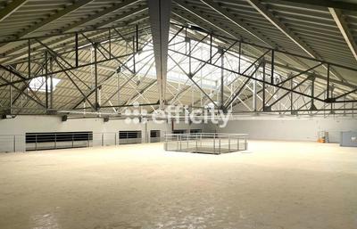 Bureau - 2 000 m² - 6 pièces