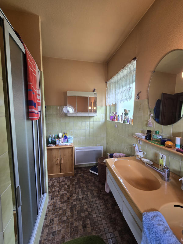 Viager - Maison - 103 m² - 3 pièces