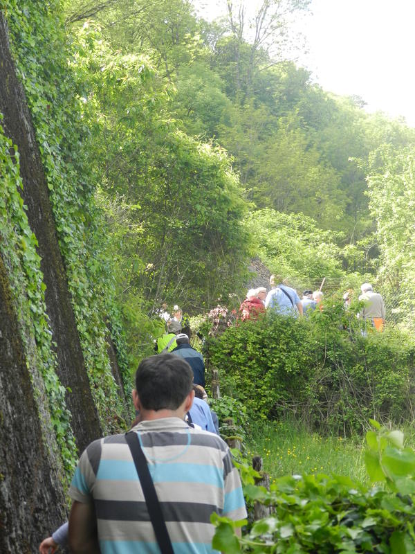 Randonnée historique W3-Quartier Général Allemand à Saint Rimay
