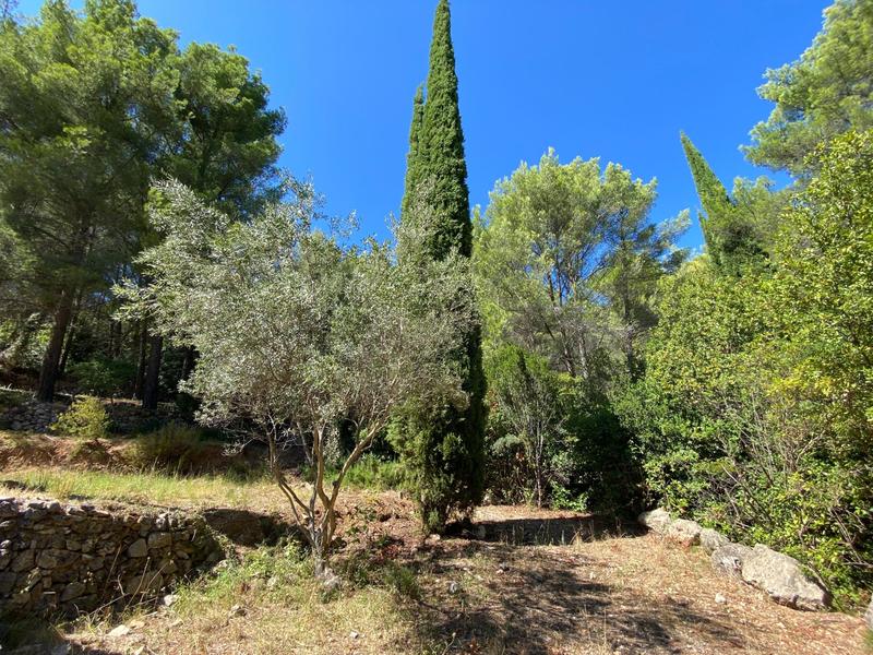 Maison - 162 m² - 5 pièces