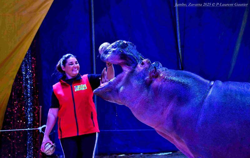 Grand Cirque Zavatta