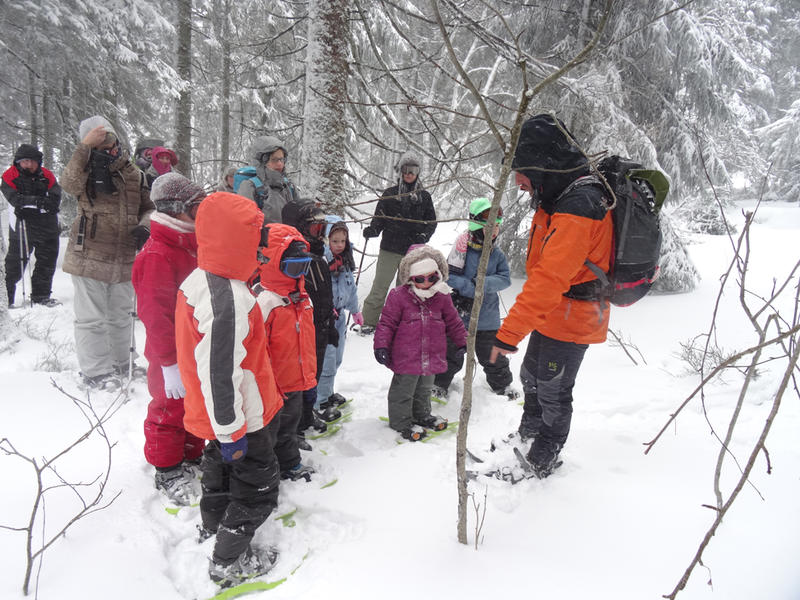 Sorties pédestres - P'tit trappeur