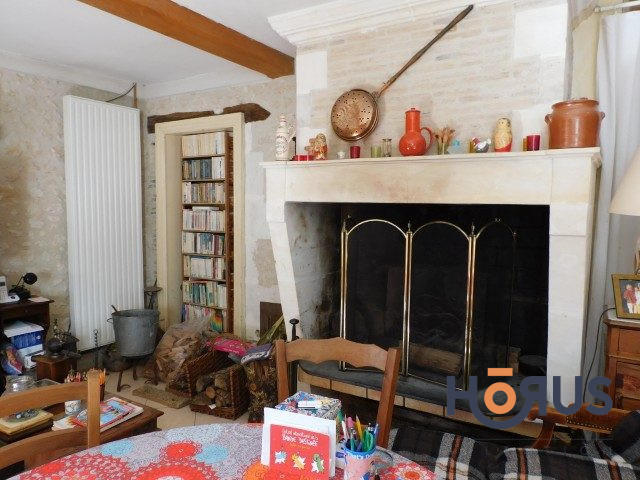 Viager - Maison ancienne - 210 m² - 4 pièces