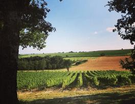 Sas Gayrard &amp; Cie