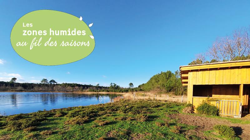 Balade découverte de l'étang de Langouarde