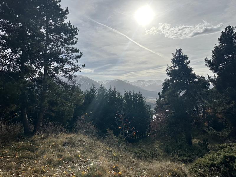 Terrain constructible - 1 572 m²