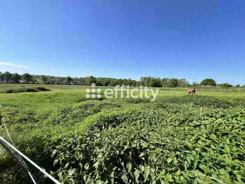 Longère - 230 m² - 6 pièces