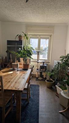 Appartement - 146 m² - 3 pièces