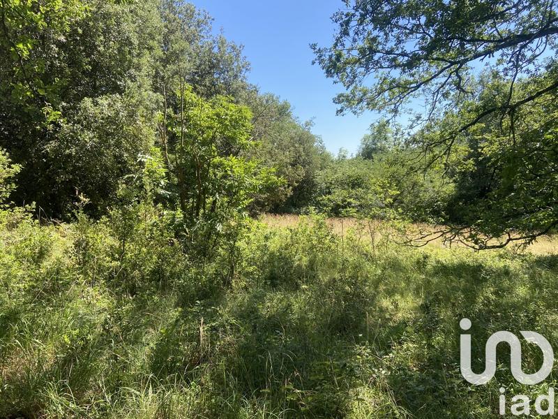 Terrain - 14 676 m²