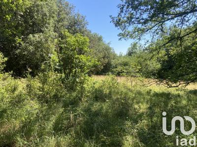 Terrain - 14 676 m²