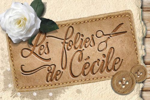 Les folies de Cécile