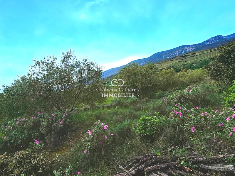 Terrain agricole - 51 314 m²