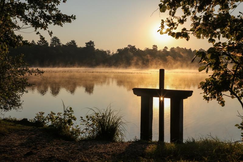 Concours photos &quot;Pose Nature&quot; - Fédération départementale des chasseurs de Loir-et-Cher
