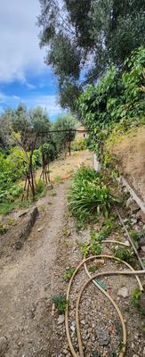 Maison - 210 m² - 8 pièces