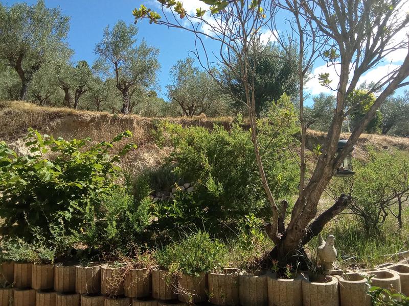 Bastide - 149 m² - 5 pièces