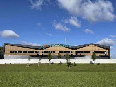 Local d'activité / Entrepôt - 439 m²