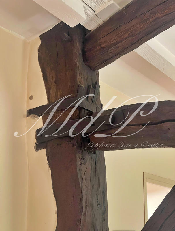 Maison de campagne - 360 m² - 11 pièces