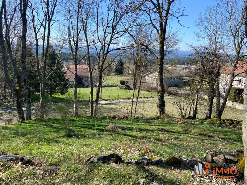Terrain - 2 175 m²