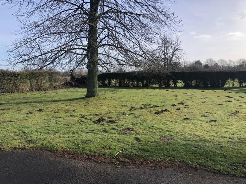 Local commercial - 250 m² - 7 pièces