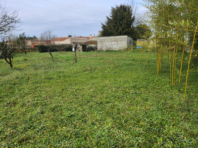 Terrain - 290 m²