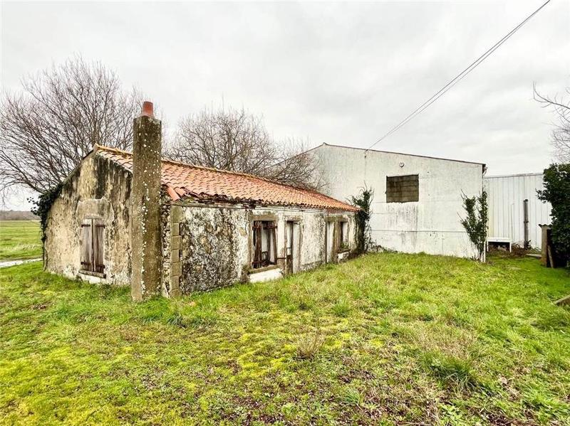 Local d'activités - 200 m² - 5 pièces