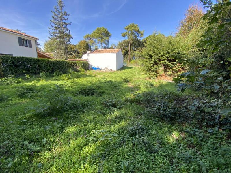 Terrain - 493 m²