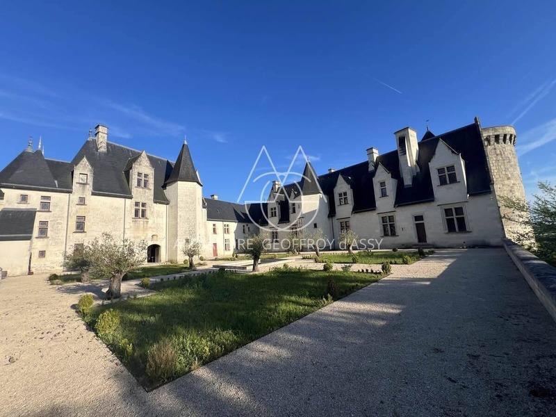 Château - 3 000 m² - 16 pièces
