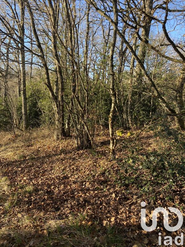 Maison de campagne - 70 m² - 5 pièces