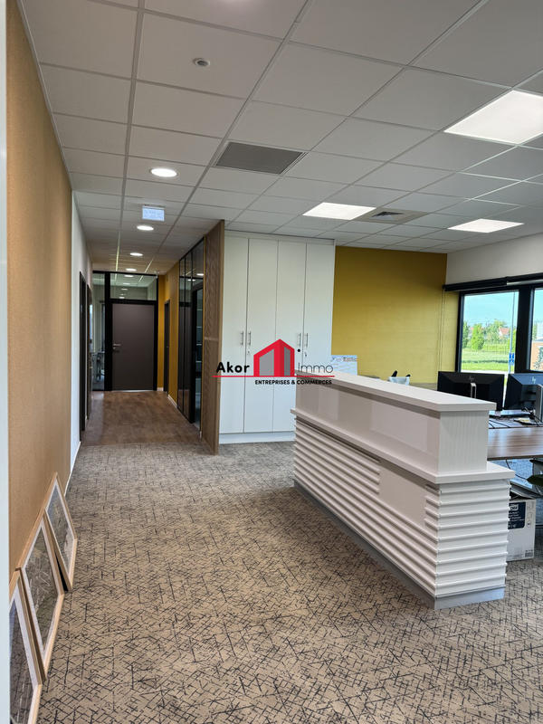Bureau - 113 m²