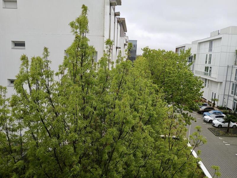 Appartement - 24 m² - 1 pièce