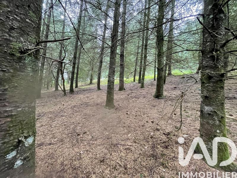 Terrain - 121 370 m²