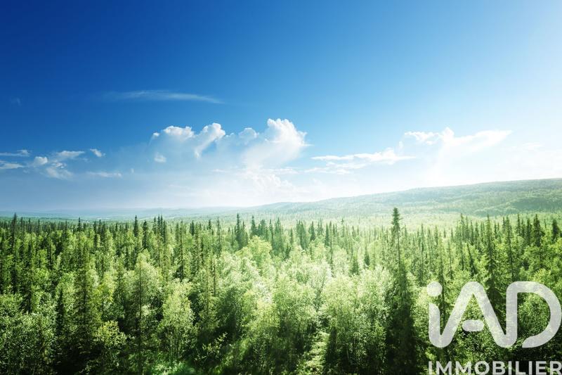 Terrain agricole - 52 608 m²