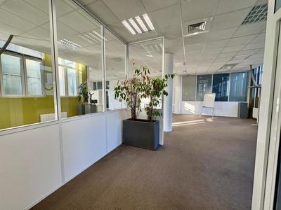 Bureau - 220 m² - 5 pièces