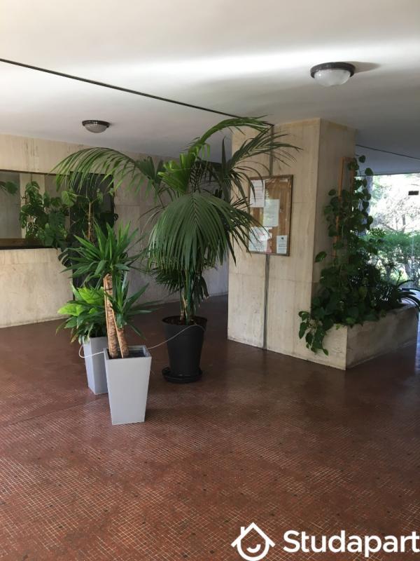 Appartement - 22 m² - 1 pièce