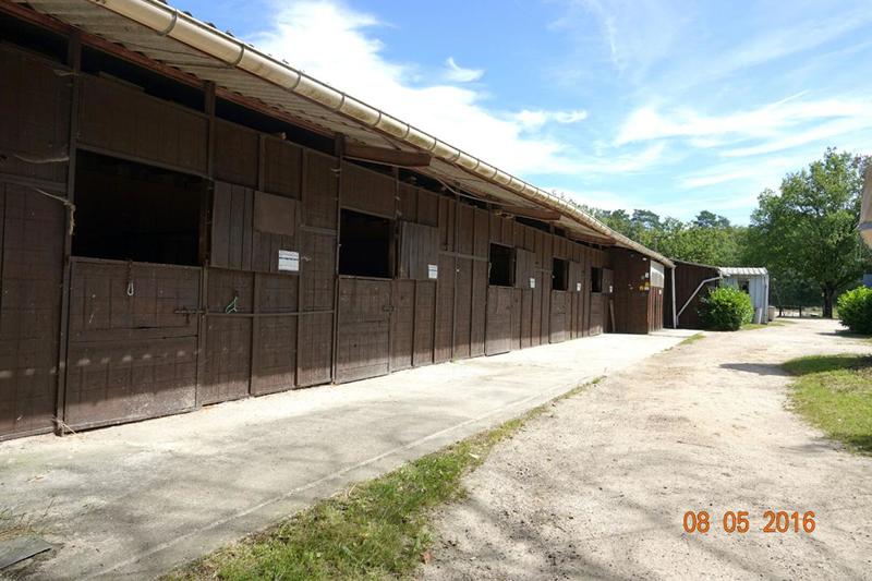 Terrain - 170 000 m²