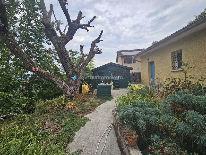 Viager - Maison - 134 m² - 6 pièces