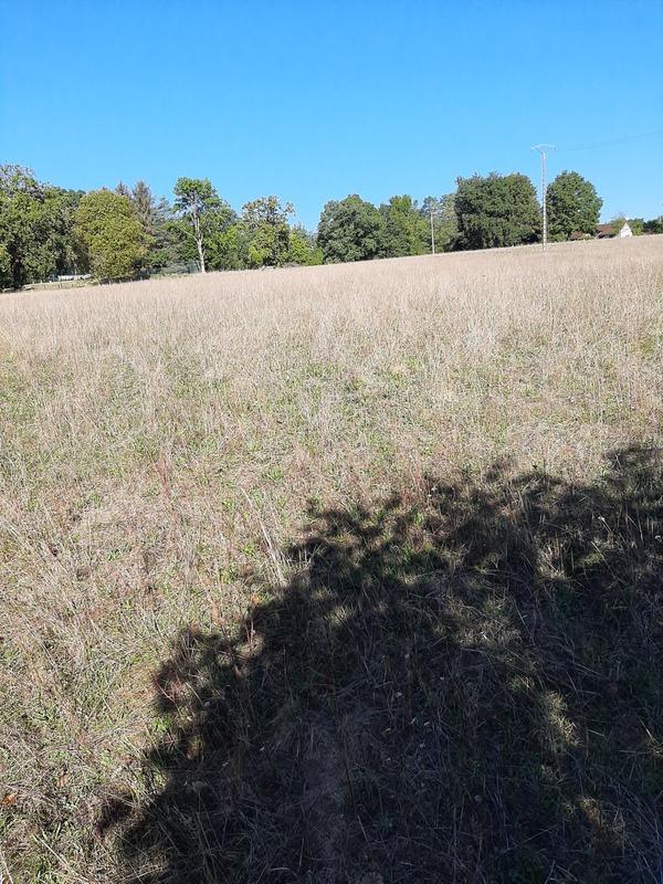 Terrain constructible - 1 267 m²