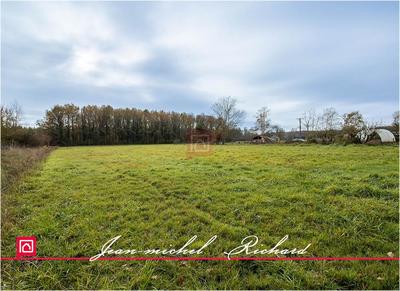 Terrain constructible - 24 590 m²